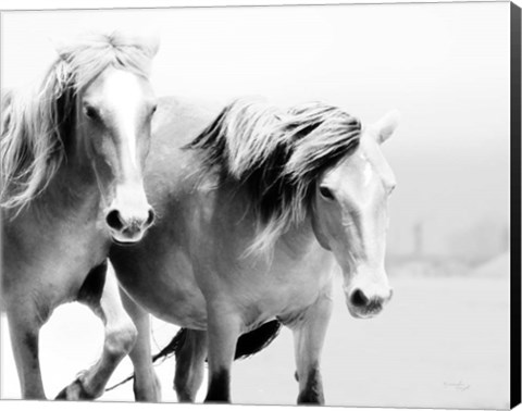 Framed Horse II Print