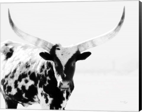 Framed Longhorn II Print