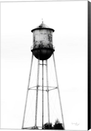 Framed Water Tower II Print