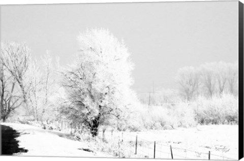 Framed Winter Scene Print