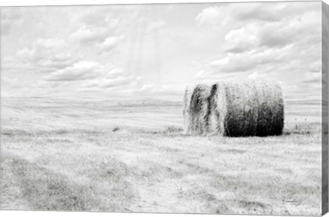 Framed Hay Bales Print