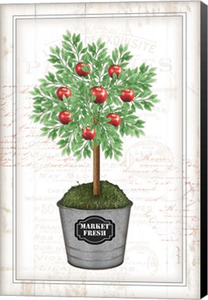 Framed Apple Topiary Print