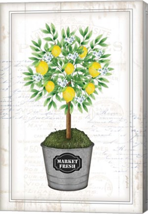 Framed Lemon Topiary Print