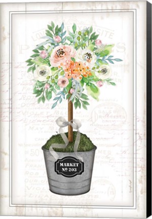 Framed Floral Topiary II Print