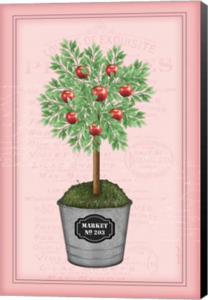 Framed Apple Topiary - Pink Print