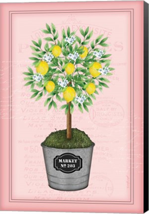 Framed Lemon Topiary - Pink Print