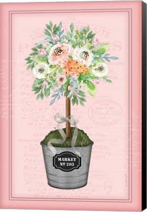 Framed Floral Topiary II - Pink Print