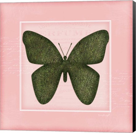 Framed Butterfly - Pink Print