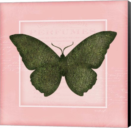 Framed Butterfly II - Pink Print