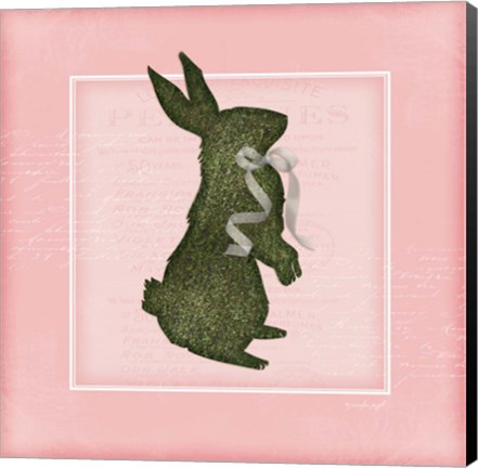 Framed Bunny - Pink Print