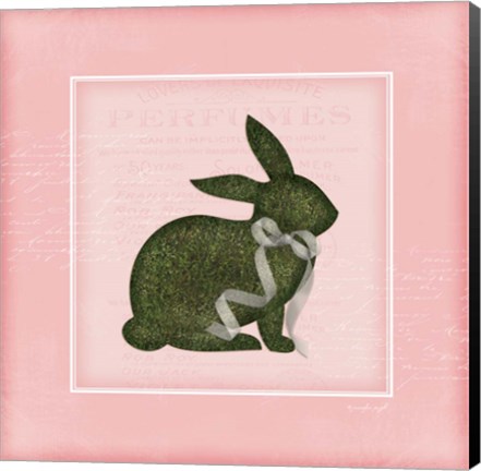 Framed Bunny II - Pink Print