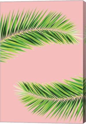 Framed Pink Palm II Print