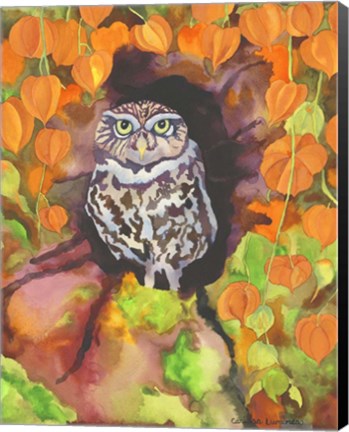 Framed Owl with Asian Lanterns Print
