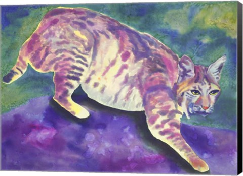 Framed Bobcat Print