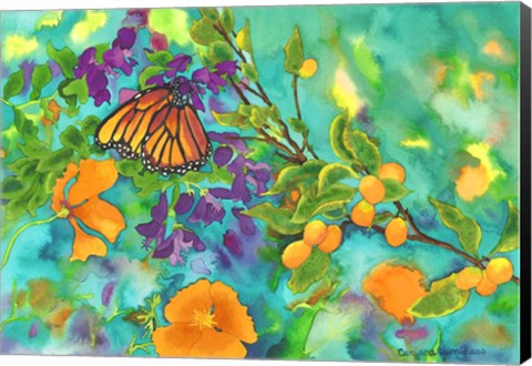 Framed California Monarch Print