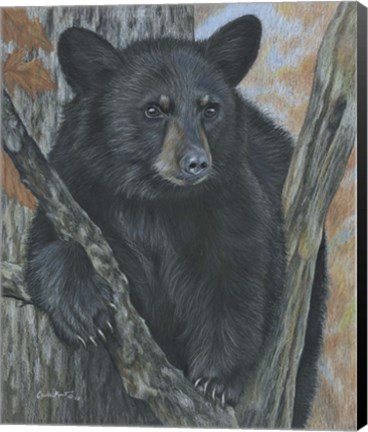 Framed Backyard Visitor Print