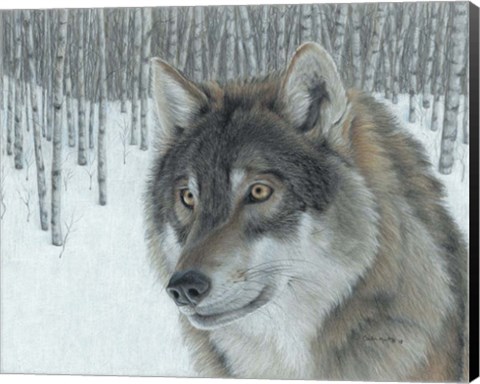 Framed Wolf in Aspens Print