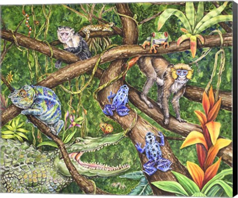 Framed La Selva Print
