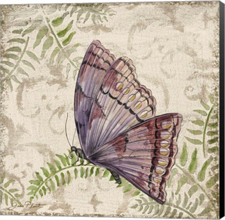 Framed Butterfly Daydreams - B Print
