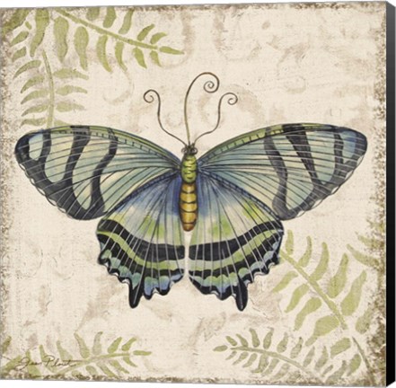 Framed Butterfly Daydreams - D Print