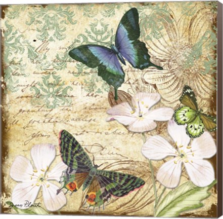Framed Inspirational Butterflies - A Print