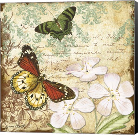 Framed Inspirational Butterflies - B Print