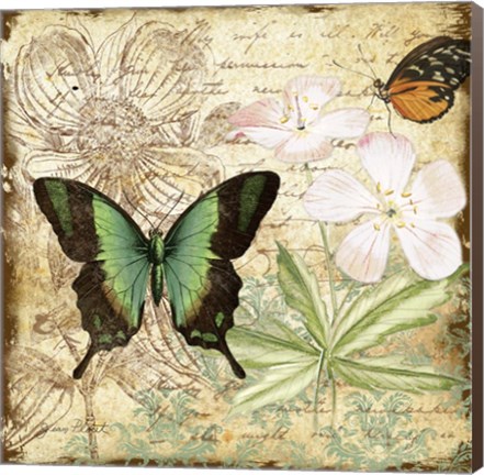 Framed Inspirational Butterflies - C Print