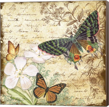 Framed Inspirational Butterflies - D Print