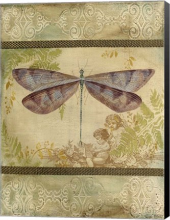 Framed Dragonfly Among The Ferns - A Print