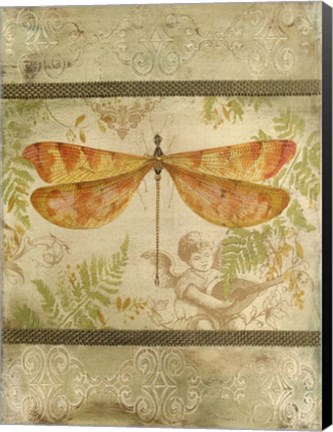 Framed Dragonfly Among The Ferns - C Print
