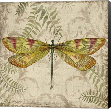 Framed Dragonfly Daydreams - A Print
