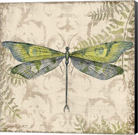 Framed Dragonfly Daydreams - C Print