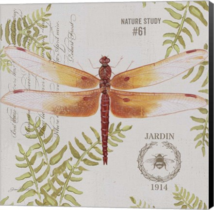 Framed Botanical Dragonfly B Print