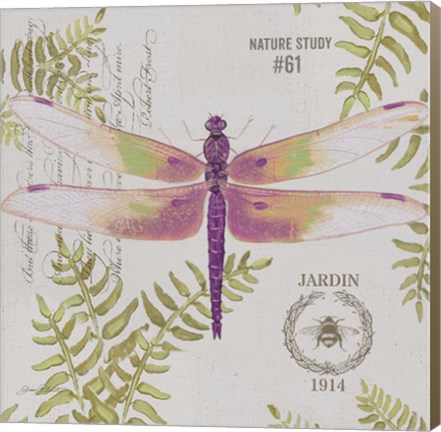 Framed Botanical Dragonfly C Print