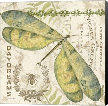 Framed Dragonfly Daydreams A Print