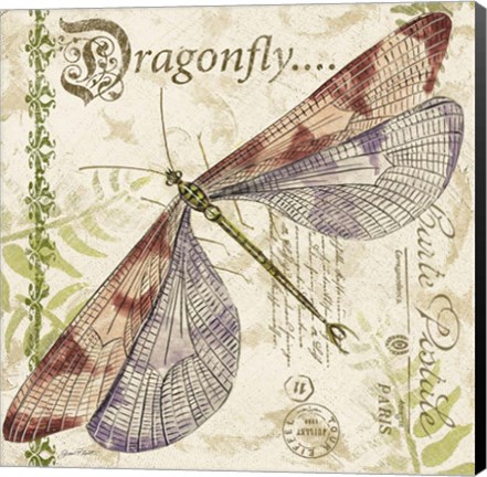 Framed Dragonfly Daydreams B Print