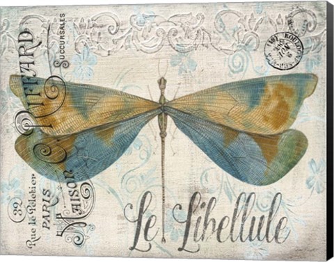 Framed Lovely Dragonfly Print
