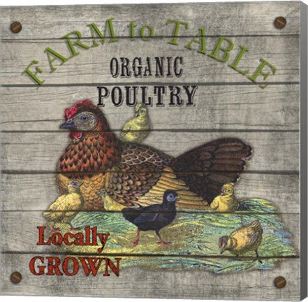 Framed Farm to Table - Poultry Print