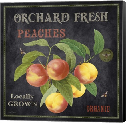 Framed Orchard Fresh Peaches Print