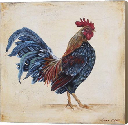 Framed Rooster - C Print