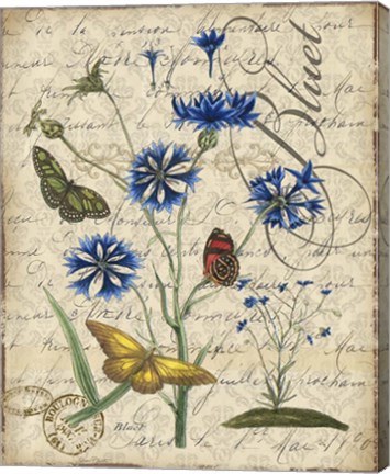 Framed Botanical - Aster Bluet Damask Print