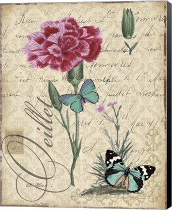 Framed Botanical - Carnation Oeillet Damask Print