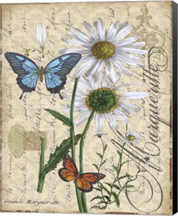 Framed Botanical - Daisey Grande Marqueritte Damask Print