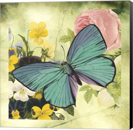 Framed Butterfly Visions With Bleed Print