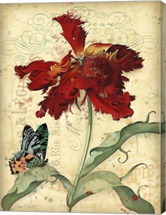 Framed French Florals 1 Print