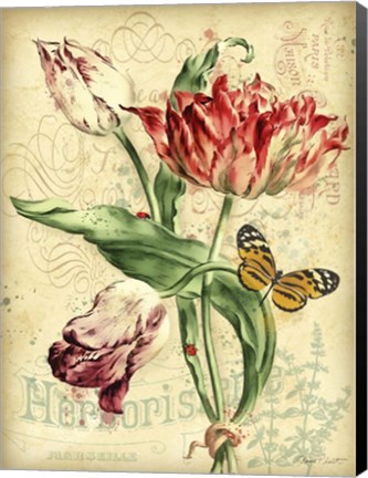 Framed French Florals 2 Print