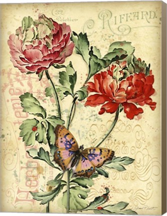 Framed French Florals 3 Print