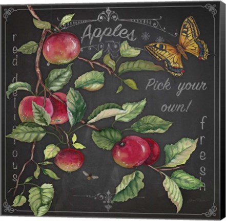 Framed Apples Print