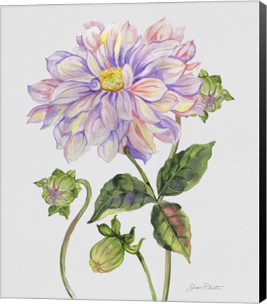 Framed Botanicals 1 Print