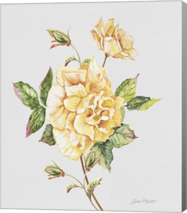 Framed Botanicals 3 Print